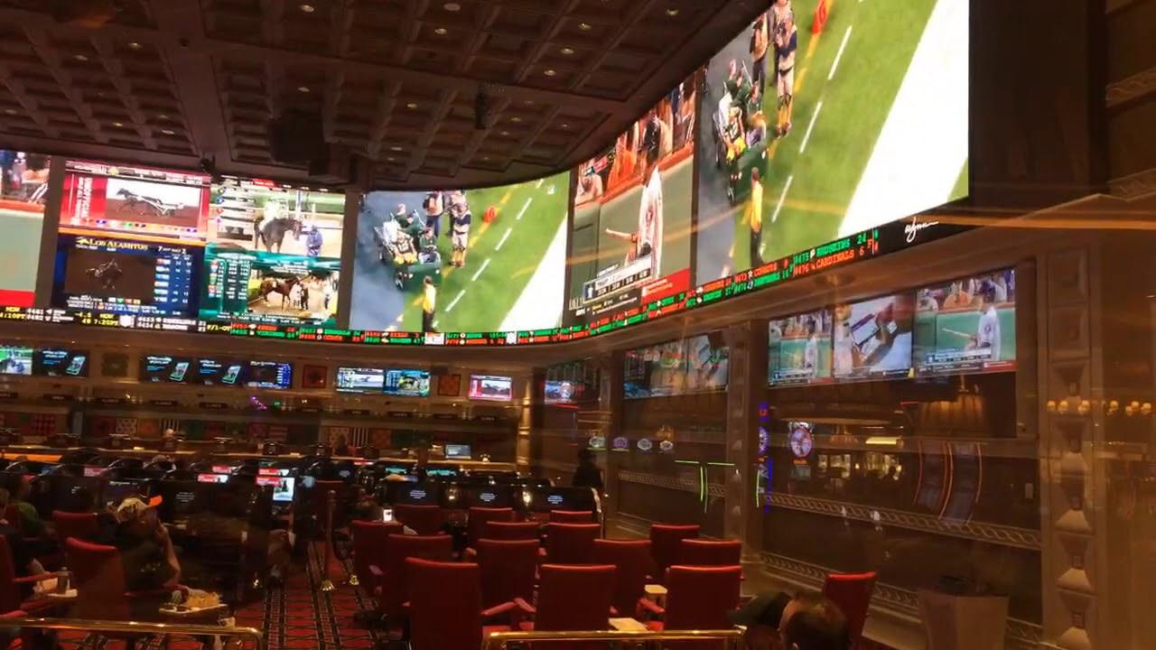 Everybody's Jackpot và bí quyết thắng lớn tại Everybody's Jackpot dành cho người chơi mới