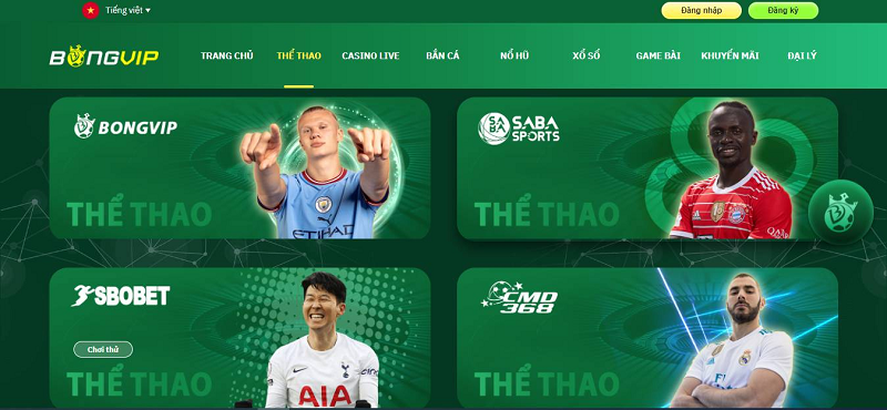 Khám phá các trò chơi trên Google Play hot nhất hiện nay cho điện thoại Android
