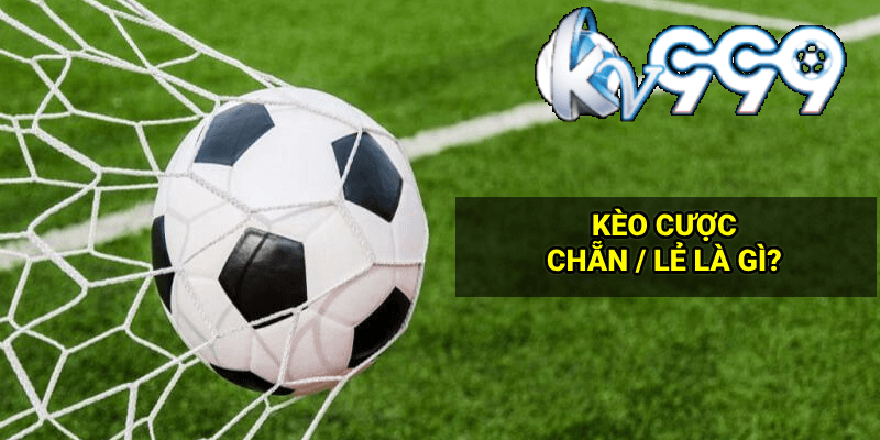 Khám phá cách chơi game Thời Loạn trên Zing Me cực hấp dẫn và dễ dàng