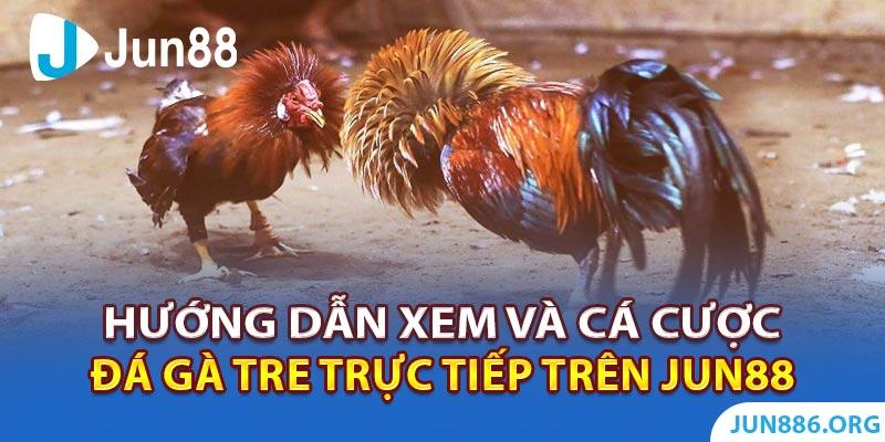 Khám phá soi cau xsmb vip chuẩn xác mỗi ngày cùng chuyên gia soi cau xsmb vip
