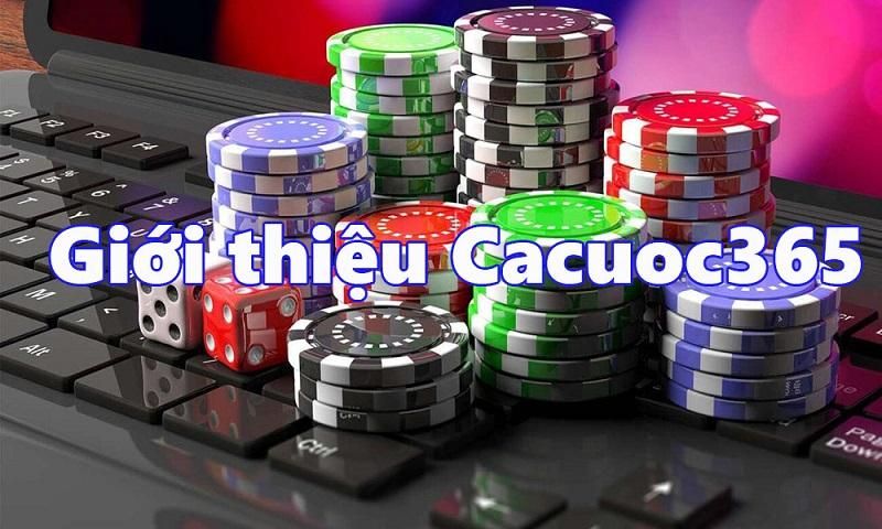 Khám phá trải nghiệm tuyệt vời tại cosmo casino online và các ưu đãi hấp dẫn của cosmo casino online